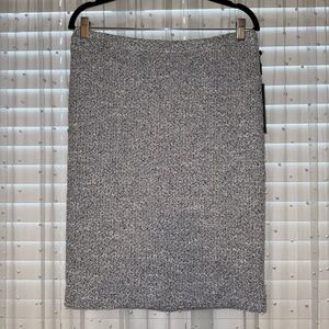 Elegant Blue Women's Skirt